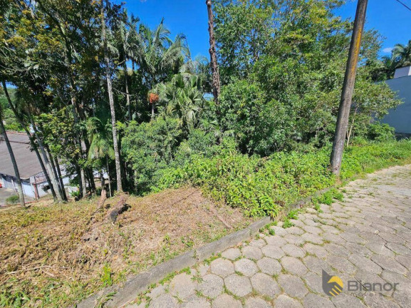 Imagem Terreno à Venda, 500 m² em Escola Agrícola - Blumenau Imagem Terreno à Venda, 500 m² em Escola Agrícola - Blumenau