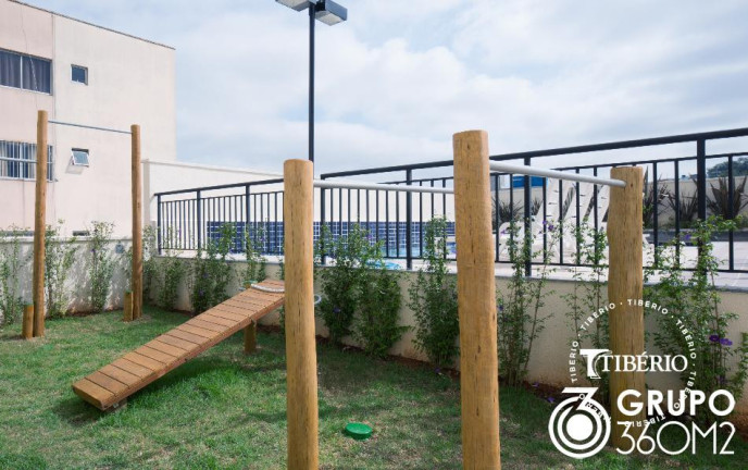 Imagem Apartamento com 3 Quartos à Venda, 60 m² em Vila Matilde - São Paulo