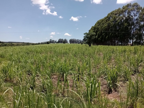 Imagem Imóvel à Venda, 25 m² em área Rural De Pratânia - Pratânia
