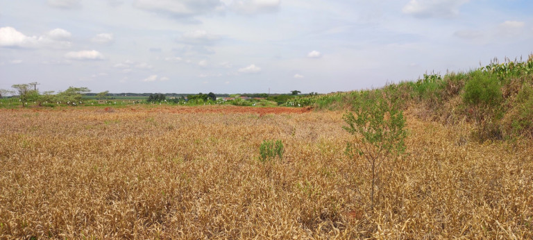 Imagem Terreno à Venda, 20.000 m² em área Rural De Iracemápolis - Iracemápolis Imagem Terreno à Venda, 20.000 m² em área Rural De Iracemápolis - Iracemápolis
