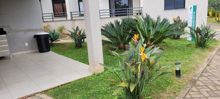 Imagem Apartamento com 2 Quartos à Venda, 48 m² em Jardim ísis - Cotia Imagem Apartamento com 2 Quartos à Venda, 48 m² em Jardim ísis - Cotia