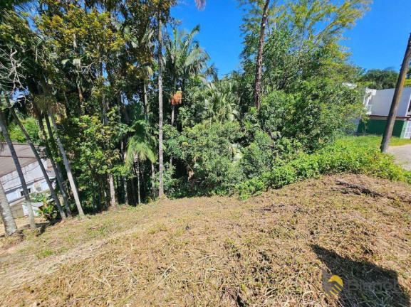 Imagem Terreno à Venda, 500 m² em Escola Agrícola - Blumenau Imagem Terreno à Venda, 500 m² em Escola Agrícola - Blumenau