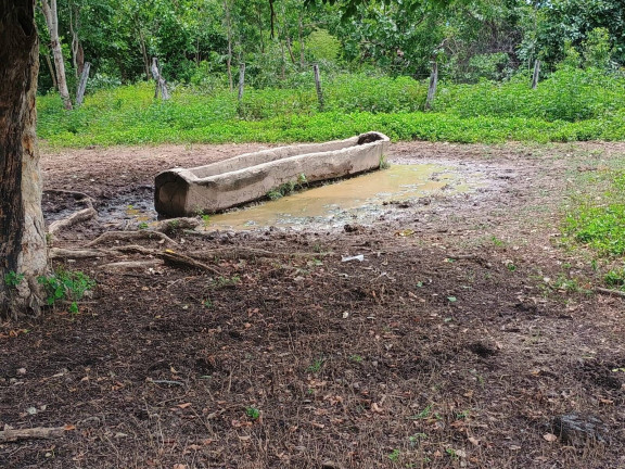 Imagem Fazenda à Venda, 500 m² em Zona Rural - Paranã Imagem Fazenda à Venda, 500 m² em Zona Rural - Paranã