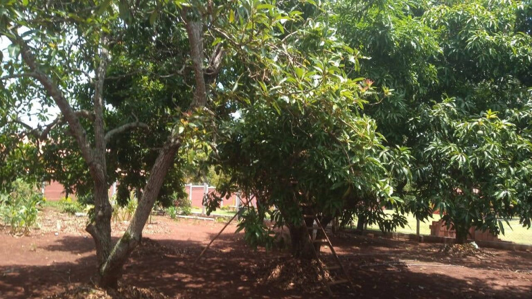 Imagem Casa com 7 Quartos à Venda, 500 m² em Centro - Boituva