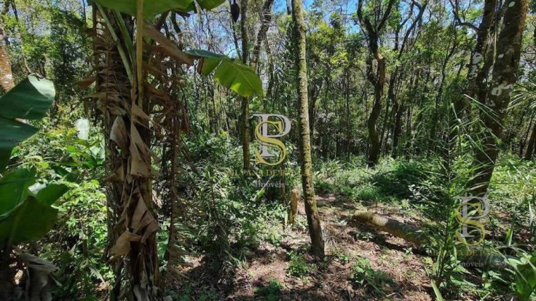 Imagem Terreno à Venda, 1.000 m² em Mato Dentro - Mairiporã Imagem Terreno à Venda, 1.000 m² em Mato Dentro - Mairiporã