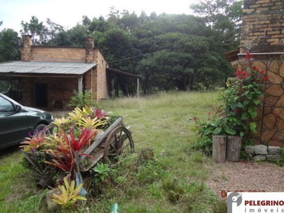 Imagem Imóvel com 3 Quartos à Venda, 45.000 m² em Zona Rural - Sentinela Do Sul Imagem Imóvel com 3 Quartos à Venda, 45.000 m² em Zona Rural - Sentinela Do Sul