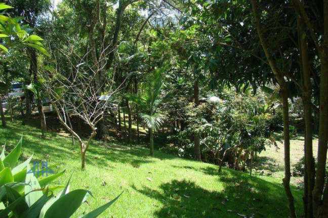 Imagem Terreno à Venda, 1.312 m² em Córrego Grande - Florianópolis Imagem Terreno à Venda, 1.312 m² em Córrego Grande - Florianópolis