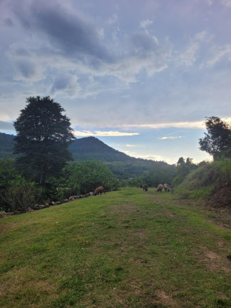 Imagem Chácara com 3 Quartos à Venda, 147.000 m² em Zona Rural - Sinimbu Imagem Chácara com 3 Quartos à Venda, 147.000 m² em Zona Rural - Sinimbu