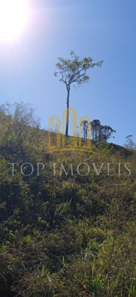 Imagem Fazenda à Venda, 98.000 m² em Centro (são Francisco Xavier) - São José Dos Campos Imagem Fazenda à Venda, 98.000 m² em Centro (são Francisco Xavier) - São José Dos Campos