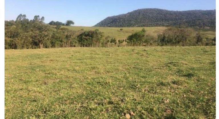 Imagem Fazenda à Venda, 285 m² em Serra De Botucatu - Bofete