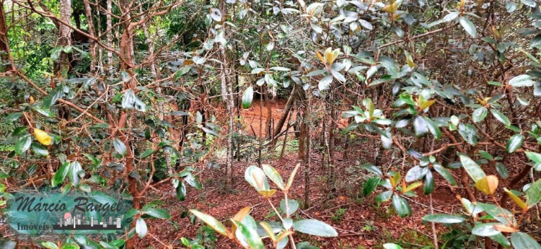 Imagem Imóvel à Venda, 31.000 m² em Caxeta - Campos Dos Goytacazes Imagem Imóvel à Venda, 31.000 m² em Caxeta - Campos Dos Goytacazes