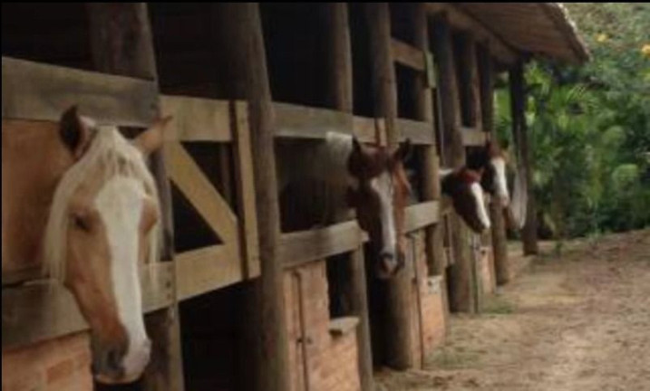 Imagem Fazenda à Venda, 28.000 m² em Joaquim Egídio - Campinas Imagem Fazenda à Venda, 28.000 m² em Joaquim Egídio - Campinas