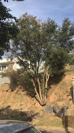 Imagem Terreno à Venda, 450 m² em Condomínio água Verde - Atibaia Imagem Terreno à Venda, 450 m² em Condomínio água Verde - Atibaia