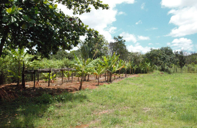 Imagem Casa com 3 Quartos à Venda, 5.000 m² em Monte Alto - Padre Bernardo Imagem Casa com 3 Quartos à Venda, 5.000 m² em Monte Alto - Padre Bernardo
