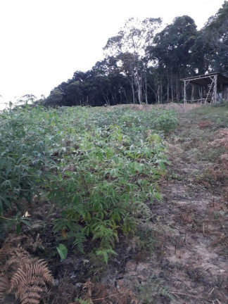 Imagem Fazenda à Venda, 300 m² em Gaspar Imagem Fazenda à Venda, 300 m² em Gaspar
