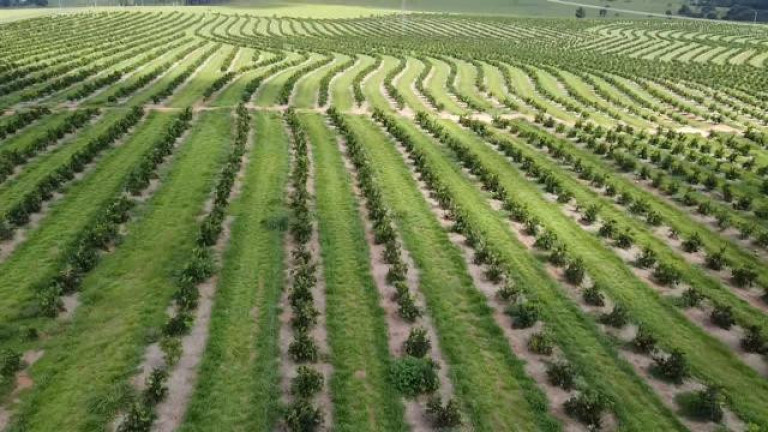 Imagem Fazenda à Venda, 121 m² em Rio Pardo - águas De Santa Bárbara