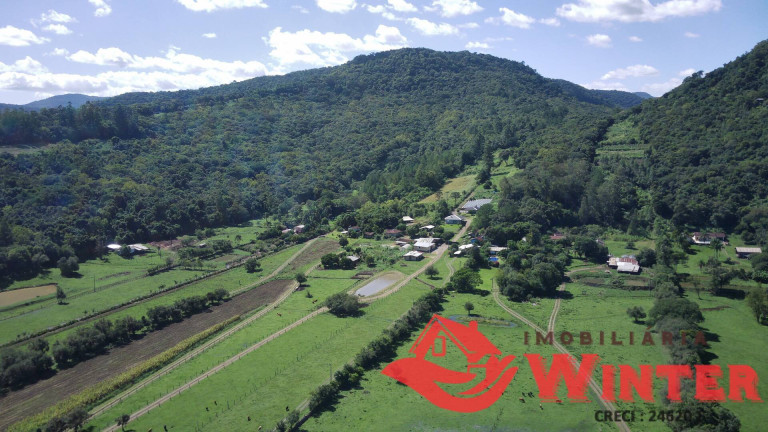 Imagem Chácara à Venda, 110.000 m² em Picada Cara - Feliz Imagem Chácara à Venda, 110.000 m² em Picada Cara - Feliz
