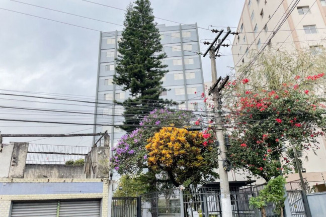 Imagem Imóvel com 3 Quartos à Venda, 60 m² em Ipiranga - São Paulo Imagem Imóvel com 3 Quartos à Venda, 60 m² em Ipiranga - São Paulo