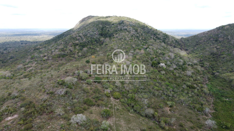 Fazenda à Venda, 492.228 m² em Ipuaçu / Santa Rosa - Feira De Santana