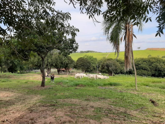Imagem Imóvel à Venda, 41 m² em área Rural De Duartina - Duartina