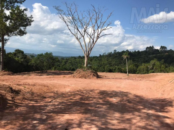 Imagem Terreno à Venda,  em Lomba Grande - Novo Hamburgo