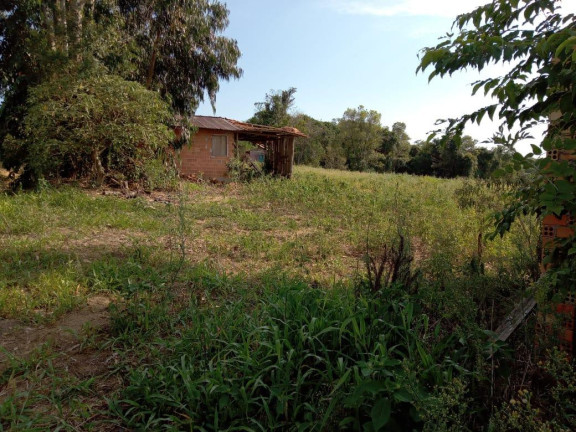 Imagem Chácara com 3 Quartos à Venda, 130.000 m² em Cantagalo - Antônio Olinto