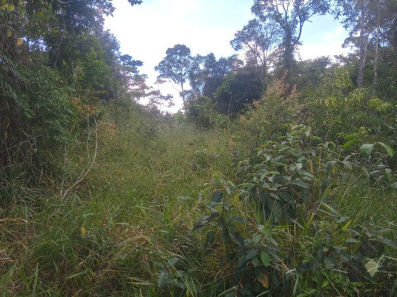 Imagem Imóvel à Venda, 20.000 m² em Roças Novas (caeté - Mg) - Caeté Imagem Imóvel à Venda, 20.000 m² em Roças Novas (caeté - Mg) - Caeté