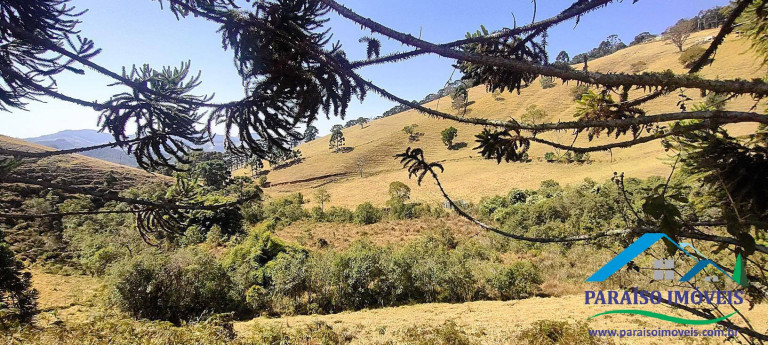 Imagem Chácara à Venda, 20 m² em Centro - Gonçalves