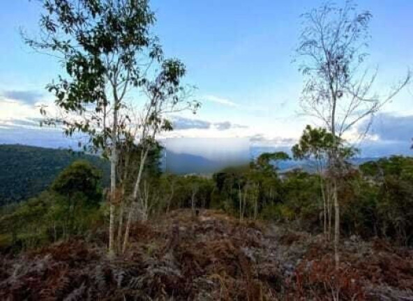 Imagem Terreno à Venda, 2.261 m² em Fazenda Alpina - Teresópolis Imagem Terreno à Venda, 2.261 m² em Fazenda Alpina - Teresópolis