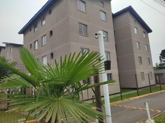 Imagem Apartamento com 2 Quartos à Venda, 44 m² em Ouro Fino - São José Dos Pinhais