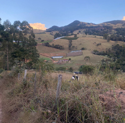 Imagem Casa com 3 Quartos à Venda, 3.500 m² em Ouro Fino
