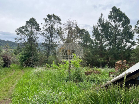 Imagem Imóvel com 2 Quartos à Venda, 70 m² em Linha Brasil - Nova Petrópolis