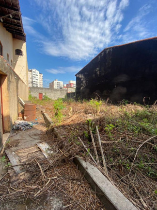 Imagem Terreno para Alugar, 120 m² em Vila Curuça Velha - São Paulo Imagem Terreno para Alugar, 120 m² em Vila Curuça Velha - São Paulo