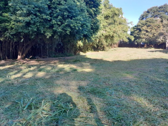 Imagem Terreno à Venda, 1.540 m² em Camaquã - Porto Alegre Imagem Terreno à Venda, 1.540 m² em Camaquã - Porto Alegre