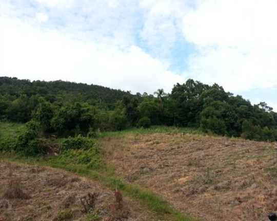 Imagem Terreno à Venda, 30 m² em Linha Bonita - Gramado Imagem Terreno à Venda, 30 m² em Linha Bonita - Gramado
