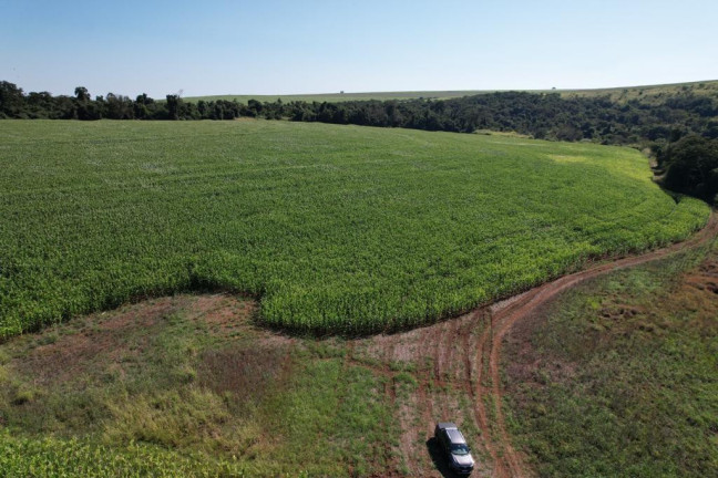 Imagem Fazenda à Venda, 540 m² em Zona Rural - Munhoz De Melo