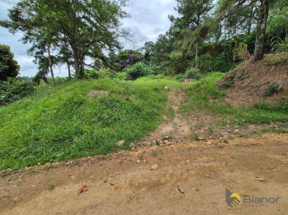 Imagem Terreno à Venda, 6.520 m² em Itoupava Norte - Blumenau Imagem Terreno à Venda, 6.520 m² em Itoupava Norte - Blumenau