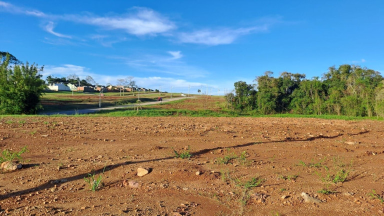 Imagem Terreno à Venda, 1.125 m² em Linha Santa Cruz - Santa Cruz Do Sul Imagem Terreno à Venda, 1.125 m² em Linha Santa Cruz - Santa Cruz Do Sul