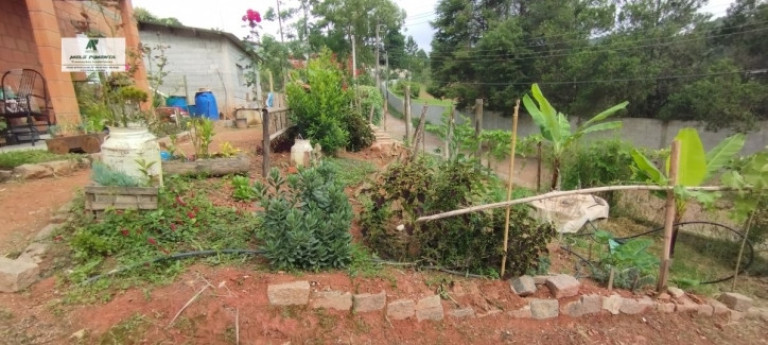 Imagem Chácara com 2 Quartos à Venda, 1.800 m² em Caetê - São Roque Imagem Chácara com 2 Quartos à Venda, 1.800 m² em Caetê - São Roque