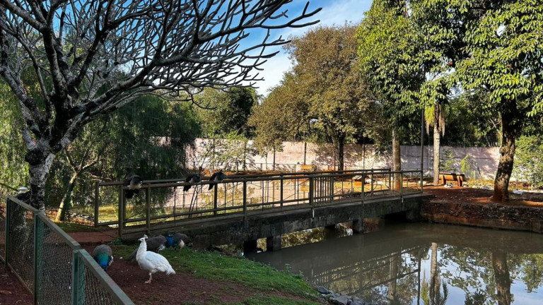 Imagem Terreno à Venda, 1.222 m² em Jardim Ana Cristina - Foz Do Iguaçu Imagem Terreno à Venda, 1.222 m² em Jardim Ana Cristina - Foz Do Iguaçu