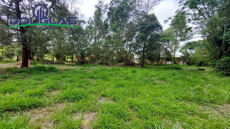 Imagem Casa com 3 Quartos à Venda, 20.000 m² em Viamão Imagem Casa com 3 Quartos à Venda, 20.000 m² em Viamão