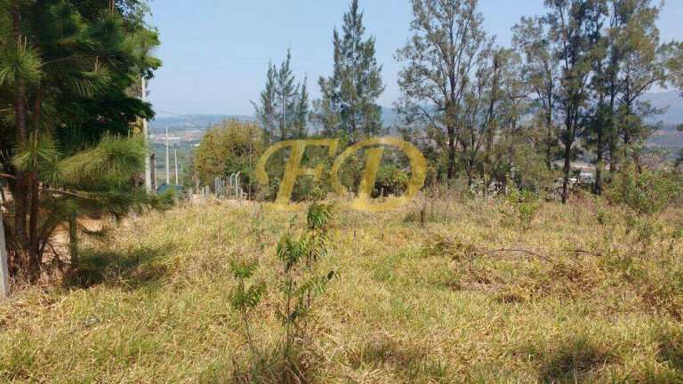 Imagem Terreno à Venda, 3.756 m² em Bom Jesus Dos Perdões Imagem Terreno à Venda, 3.756 m² em Bom Jesus Dos Perdões