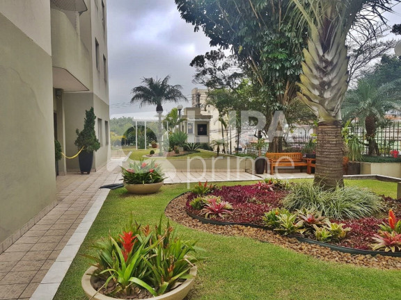 Imagem Apartamento com 3 Quartos à Venda, 70 m² em Vila Ede - São Paulo