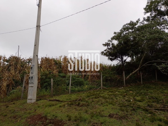 Terreno à Venda, 4.750 m² em Tuiuti - Bento Gonçalves