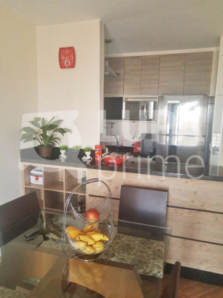 Imagem Apartamento com 3 Quartos à Venda, 65 m² em Vila Maria Alta - São Paulo Imagem Apartamento com 3 Quartos à Venda, 65 m² em Vila Maria Alta - São Paulo