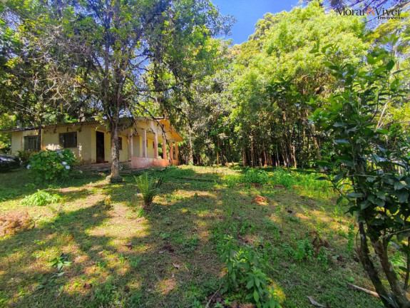 Imagem Chácara à Venda, 6.000 m² em Loteamento Chácara Chantecler - Piraquara Imagem Chácara à Venda, 6.000 m² em Loteamento Chácara Chantecler - Piraquara