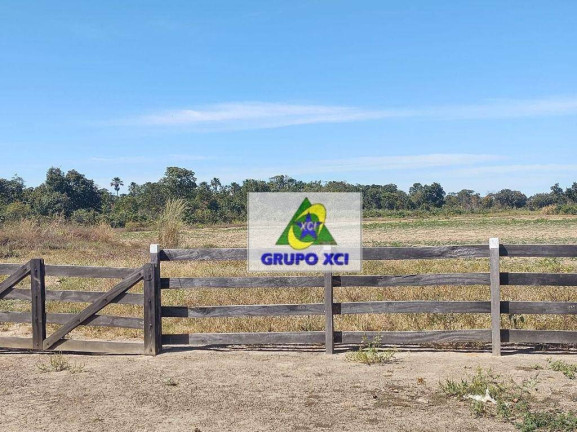 Imagem Fazenda à Venda, 135.000.000 m² em Centro - Ribeirão Cascalheira