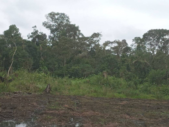 Imagem Terreno à Venda, 360 m² em Ervino - São Francisco Do Sul Imagem Terreno à Venda, 360 m² em Ervino - São Francisco Do Sul