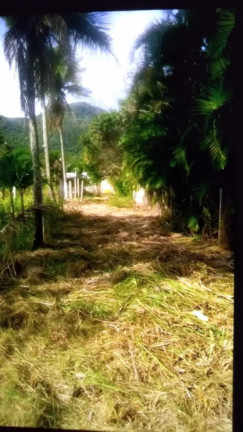 Imagem Imóvel à Venda, 150 m² em Guaratiba - Rio De Janeiro Imagem Imóvel à Venda, 150 m² em Guaratiba - Rio De Janeiro