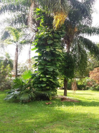 Imagem Imóvel com 3 Quartos à Venda, 5.018 m² em Caputera - Sorocaba